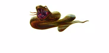 Crawler Worm