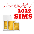 Number Information
