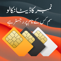 Live Tracker Pro