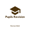 Pupils Rev-With Past Papers APK