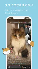 Pet XAPK Herunterladen