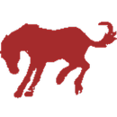 Gateway Bronco Employee APK