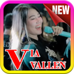 Lagu Via Vallen 2020 | Offline + Lirik