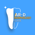 AR-D Morphology