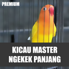 KICAU MASTER NGEKEK PANJANG Zeichen