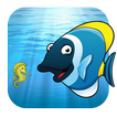 Swim - Fish feed and grow