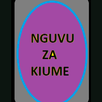 Jitibu nguvu za kiume APK