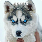 Cute Husky Puppies Lock Screen أيقونة