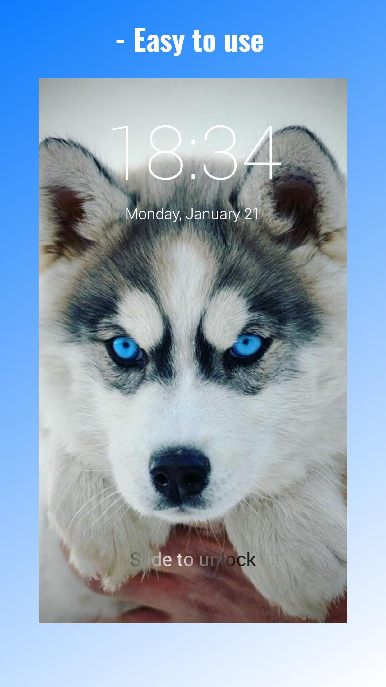 Cute Husky Puppies Lock Screen For Android Apk Download - cute husky roblox