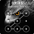 Eagle Lock Screen