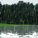 Rain Live Wallpaper APK