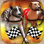 Dog Racing-icoon