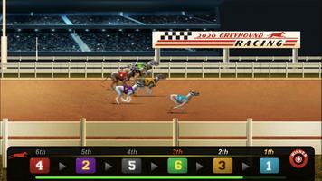 Dog Racing screenshot 3