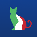 ConiuGatto - Italian Verbs APK