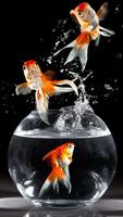 Nice Fish Wallpaper تصوير الشاشة 3