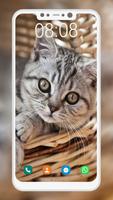 Cute Cat Wallpaper screenshot 3