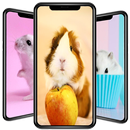 Cute Hamster Wallpapers APK