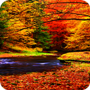 Autumn Wallpaper APK
