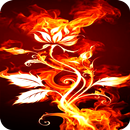 fuego fondo de pantalla HD APK