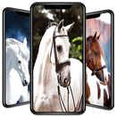 hình nền ngựa APK