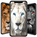 hình nền sư tử HD APK