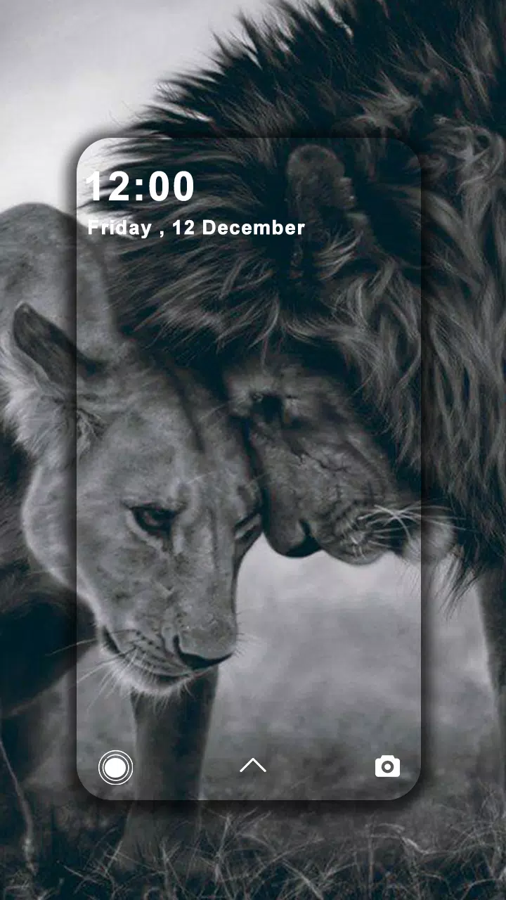 下載Lion Wallpapers HD的安卓版本