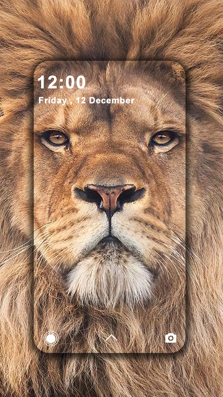 Lion Wallpapers HD APK for Android Download Lion Wallpapers HD APK for Android Download