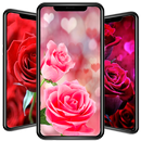 バラの壁紙 APK