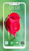 Rose Wallpapers 截图 1