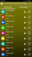 Birds Sounds & Ringtones screenshot 1