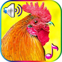 Funny Alarm Clock Ringtones