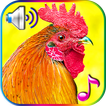 Funny Alarm Clock Ringtones icon