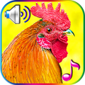 Funny Alarm Clock Ringtones