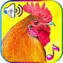 Toques de alarme engraçados APK