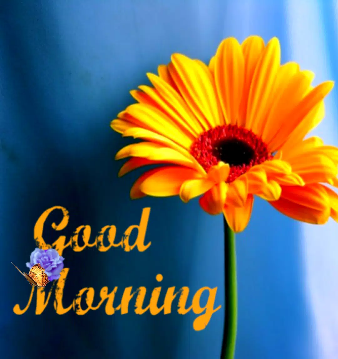Tải xuống APK Good Morning Flower Pictures cho Android