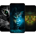 Cat Wallpaper