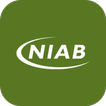 NIAB