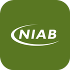 NIAB icon