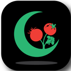 Lunoid - Jardiner avec la lune icône