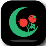 Lunoid icon