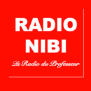 APK RADIO NIBI