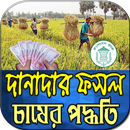 দানাদার ফসল চাষের পদ্ধতি APK