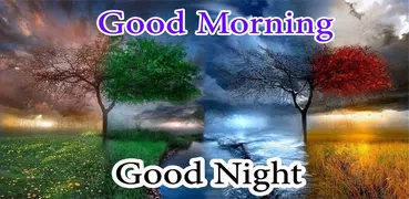 Good Morning and Good Night messages pictures