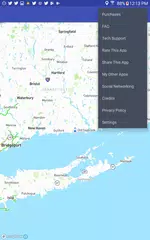 Back Seat Navigator XAPK 下載