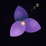 Night Bloom