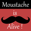 Moustache Live Wallpaper