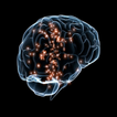 Brain Wars - training && entertainment
