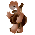 Galamojis
