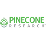 Pinecone ikon