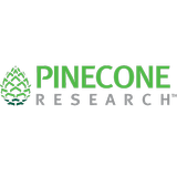 Pinecone أيقونة